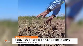 AgDay 07/14/21 - No Water, No Crops