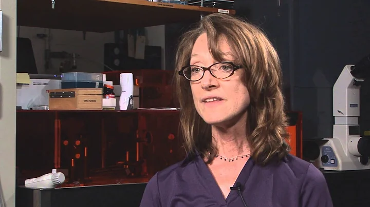 Patricia Keely on Collagen's Role in Breast Cancer