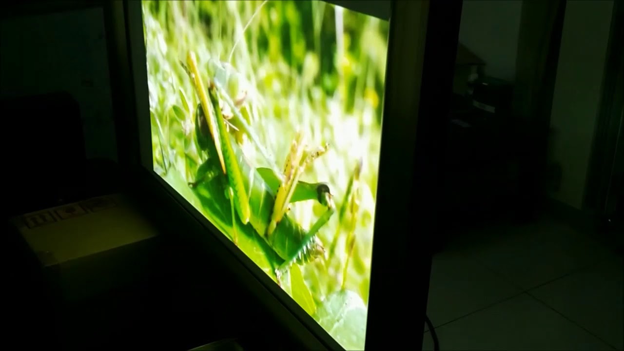 white  double view projection film