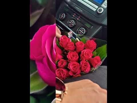 وردة منك بتفرح قلبي