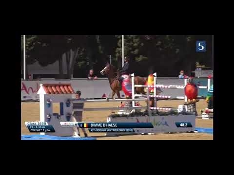 Renshaw van't Meulenhof - CSIYH1* 7y old - Vejer de la Frontera - 20 02 2024 Renshaw van't Meulenhof - CSIYH1* 7y old - Vejer de la Frontera - 20 02 2024