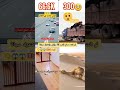 شاهد كيف يطلع الابل ارمال  