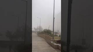 Foggy morning at AIIMS Delhi | Winter vibes