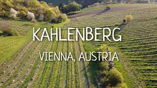 KAHLENBERG in Vienna, Austria 🇦🇹 | Drone Flight [4K]