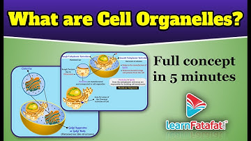 Class 9 Science The Fundamental Unit Of Life - What are Cell Organelles? - LearnFatafat