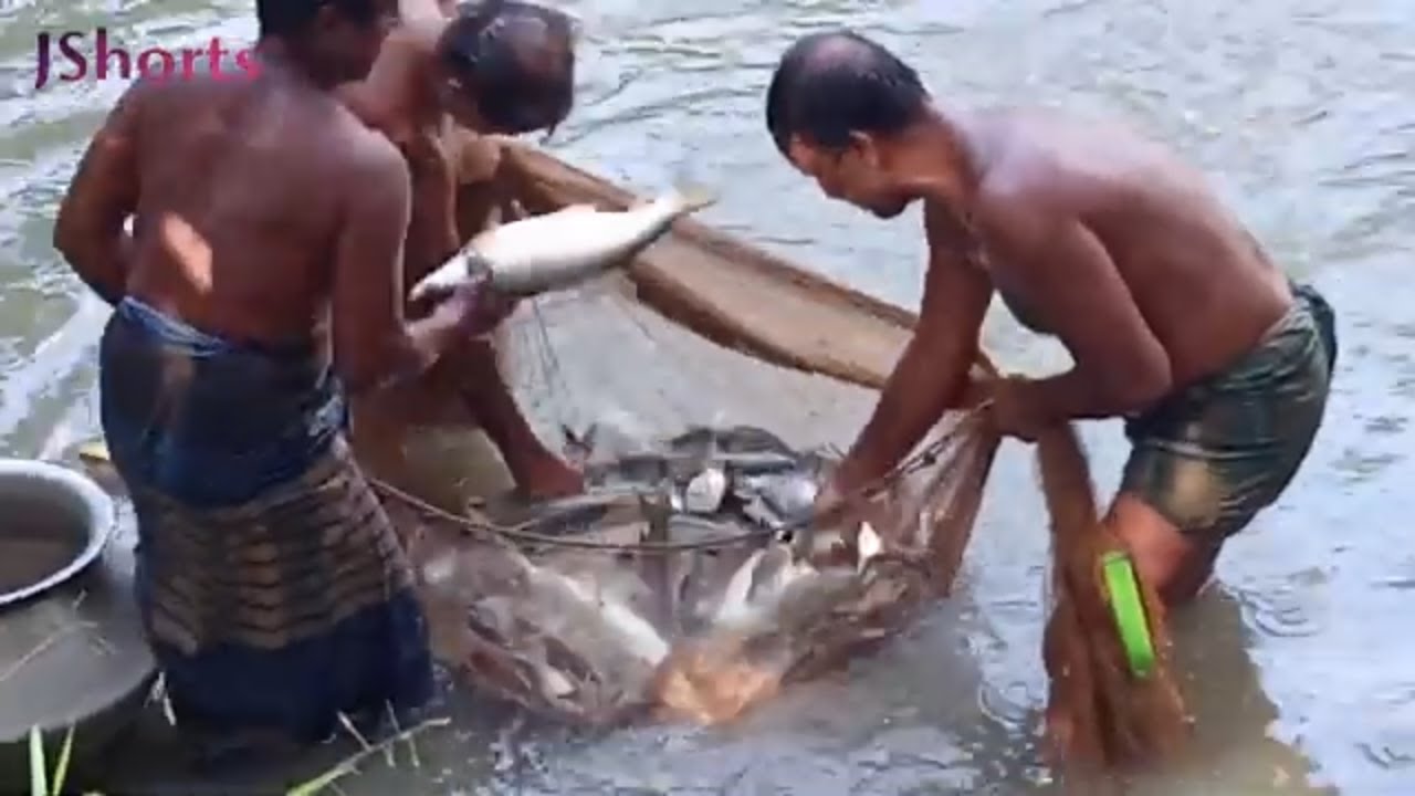 Best Village Net Fishing Video 2023 Amazing Village Fish Catching