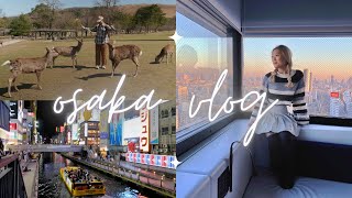 things to do in osaka 🇯🇵 japan vlog (cherry blossom, namba, dotonbori, food, nara deer park + more)