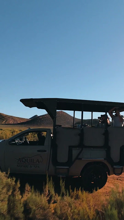 AQUILA SAFARI DRONE 4K | Incredible Big Five Game Reserve close to Cape Town