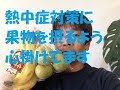 熱中症予防に果物を加えて見た