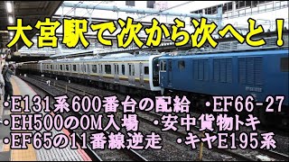 E131系600番台配給＆大宮駅でメチャクチャ楽しめる列車見物