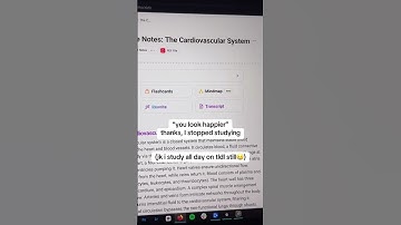 Stop asking it’s called TLDL Notes App 😊📚 #studytok #university #student #college #study
