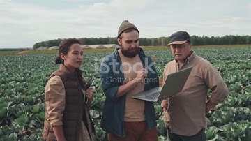 Green Bytes: Data Science Revolutionizing Agriculture