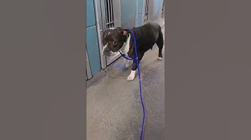 600987345 25405373709130099 952315666930937359 n