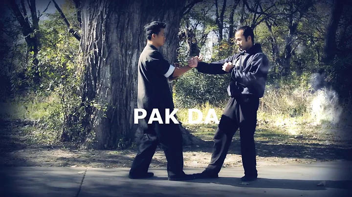 SIU LUM TAO  IP MAN WING CHUN APPLICATION