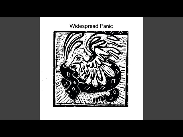 Widespread Panic - Pigeons