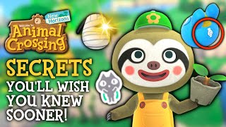 Secrets You’ll WISH You Knew Sooner in Animal Crossing New Horizons
