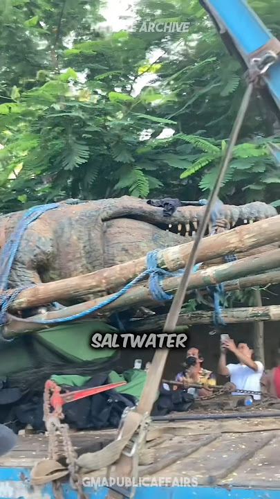 Lolong 🐊 The LARGEST Saltwater Crocodile!