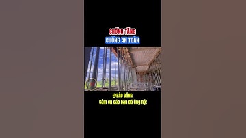 Cho thuê giàn giáo cốp pha công trình từ A đến Z | Đặng Hoài Bảo