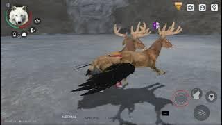 Script for Wolf Online 2 - 8.1.1 [WIP]