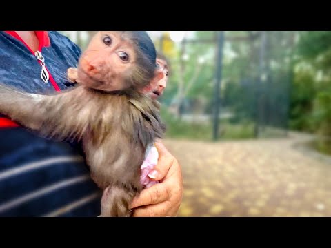 Сткпа и Маня отправляюися искать ушедшего папу Влада! Маня ОКАЗАЛАСЬ СМЕЛЕЕ)))