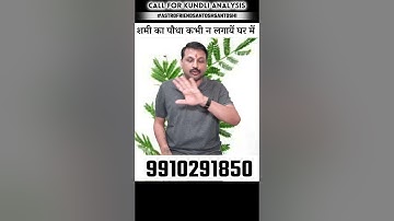 घर में शमी का पौधा नही लगाना चाहिए ? #शमी  #astrofriend #astroreels #santoshsantoshi #astroquiz
