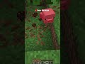 Minecraft Tapi Jika Aku Ketemu Ayam Video Selesai