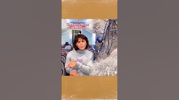 My brain has too many tabs open, and none of them are responding.  #comedy #shorts  #shortsfeed