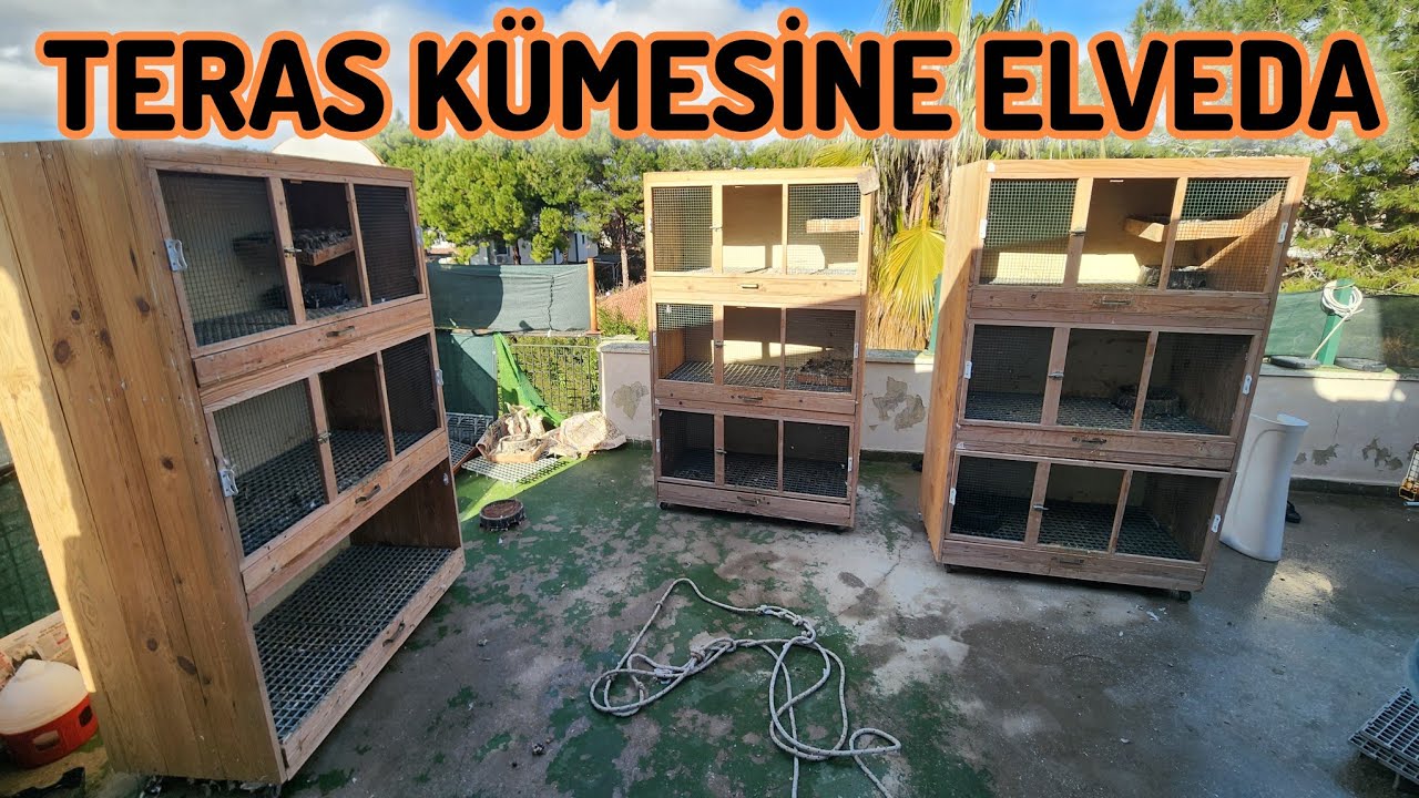 Her Güzel Başlangıcın Bir Sonu Vardır Arkadaşlar Teras Kümesimize Elveda