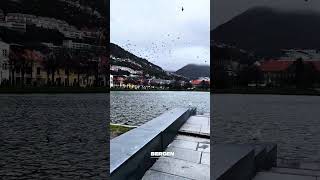 Bergen Walk | Calm City Moments in Norway #bergen #visitnorway #norwaytourism #traveleurope