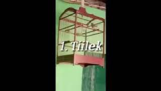 Pakem e prenjak Beserta Contoh setiap Lagu...