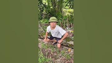 Giải cứu con trai bị bắt cóc - Rescue kidnapped son #shorts