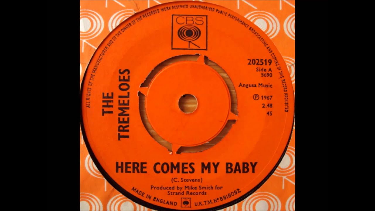 The Tremeloes Here comes my baby. 1967. - YouTube
