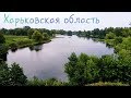 Красивый вид из окна электрички. Река, сосновый лесок, городок Мерефа