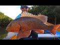 Pesca de PARGOS y ROBALOS en el MANGLAR