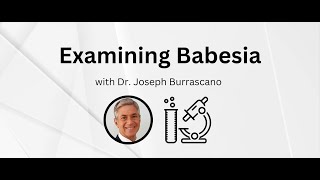 Examining Babesia