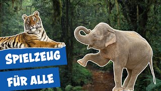 Spielspaß für die Tiere im Zoo Berlin I Panda, Gorilla & Co.