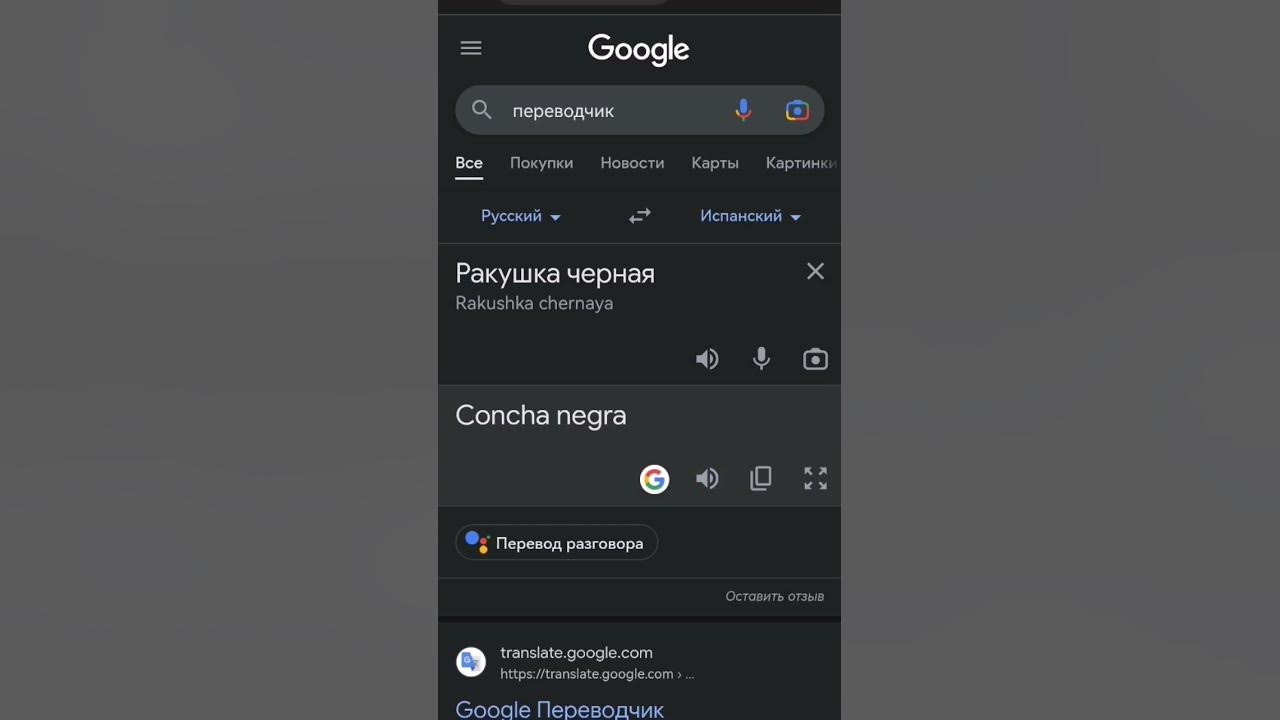 КоНчА НеГрА ахаххаахахахахвх😂😂😅😂🤣😂🤣😂 - YouTube