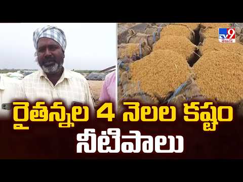 Farmers' Heartbreak in Sangareddy: రైతన్నల 4 నెలల కష్టం నీటిపాలు - TV9 - TV9
