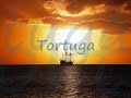 TORTUGA ~ Matthew Moore Songwriter ~ THE SPORT OF GUESSING - Shelter Caribou Records