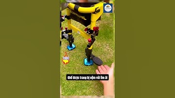 Ghế Dã Ngoại Câu Cá Gấp Gọn #taphoadocau #fishing #dammecauca #cauca #fishinglife #youtubeshorts