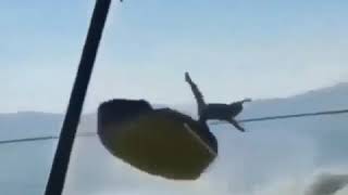 Video lucu bikin ngakak sakit perut cocofun keren