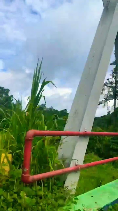 Jalan melewati hutan Papua