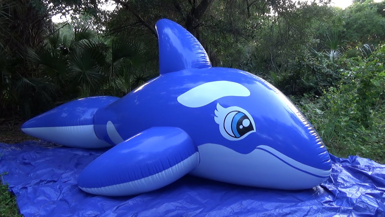 gandg auto Blue Five Meter Whale Time Lapse Inflation