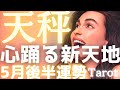 【天秤座♎️5月後半運勢】※超重要。過去を「卒業」して身軽になったあなたに、とんでもない「新天地」が用意されています🌈タロット占い