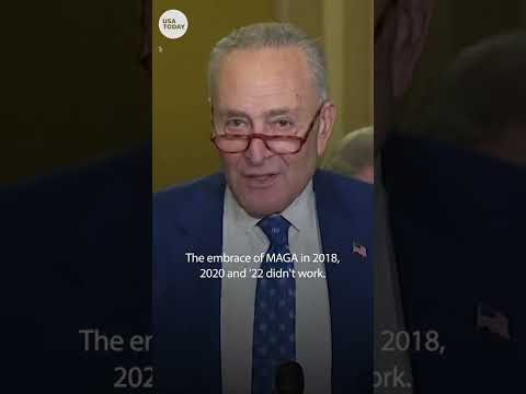 Schumer to Republicans: ‘Embrace MAGA, you're going to keep losing’ | USA TODAY #Shorts