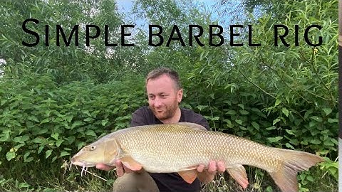 Simple barbel rig