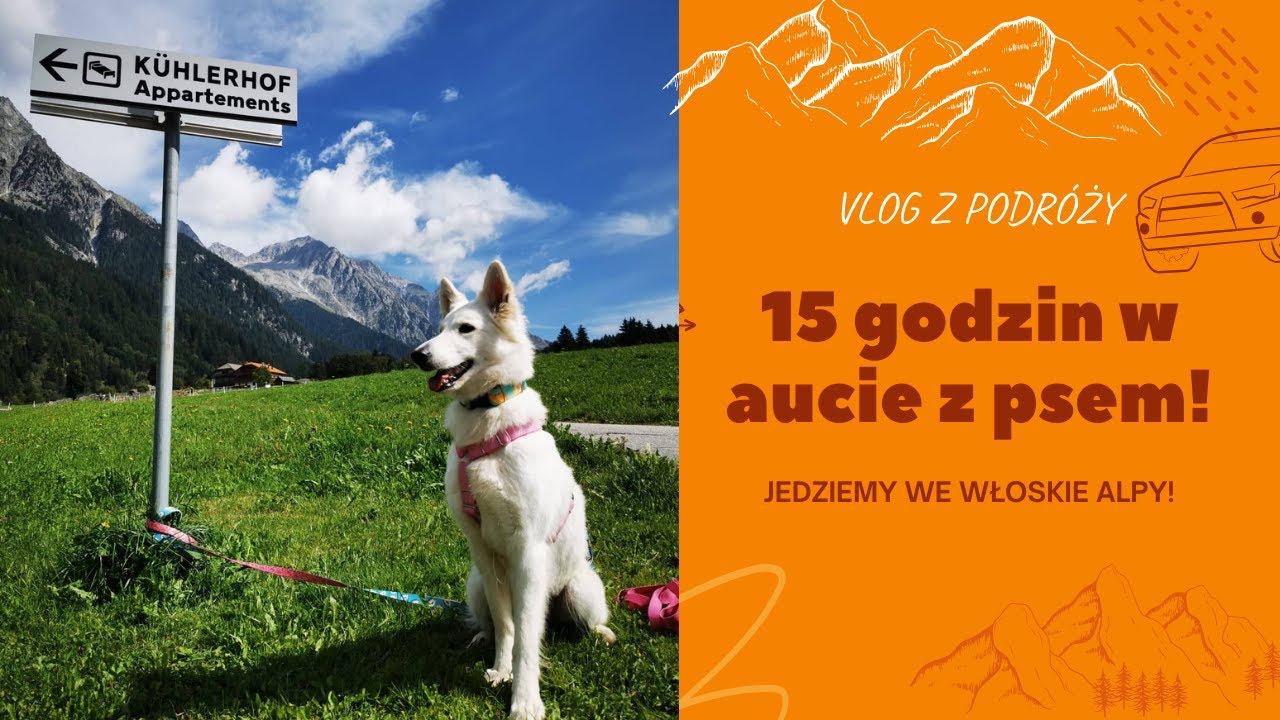 15-GODZINNA PODRÓŻ DO WŁOCH Z PSEM! Jedziemy w Alpy! Czy PsiBufet dojedzie zamrożony?
