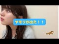 SKE48 石塚美月 ヤモリが出た🦎 の動画、YouTube動画。