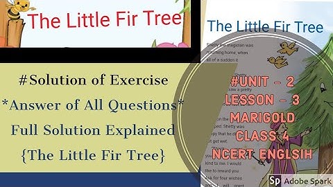 The Little Fir Tree | Questions/Solution | Class 4 | NCERT ENGLISH | Exercise