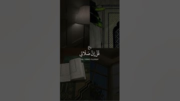 سورة الانعام ـــ ماهر المعيقلي